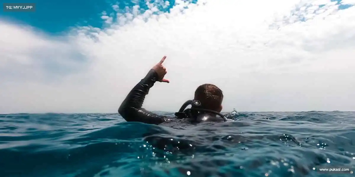 为什么选择我们